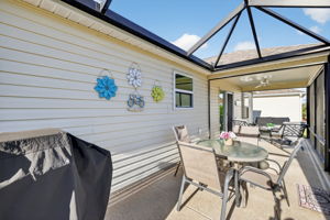 Lanai with Extended Birdcage