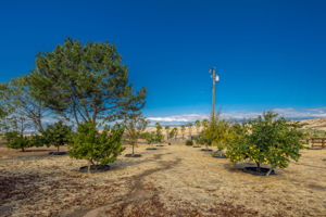  8580 Reche Canyon Rd, Colton, CA 92324, US Photo 63