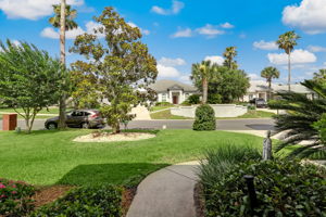 Front Yard View