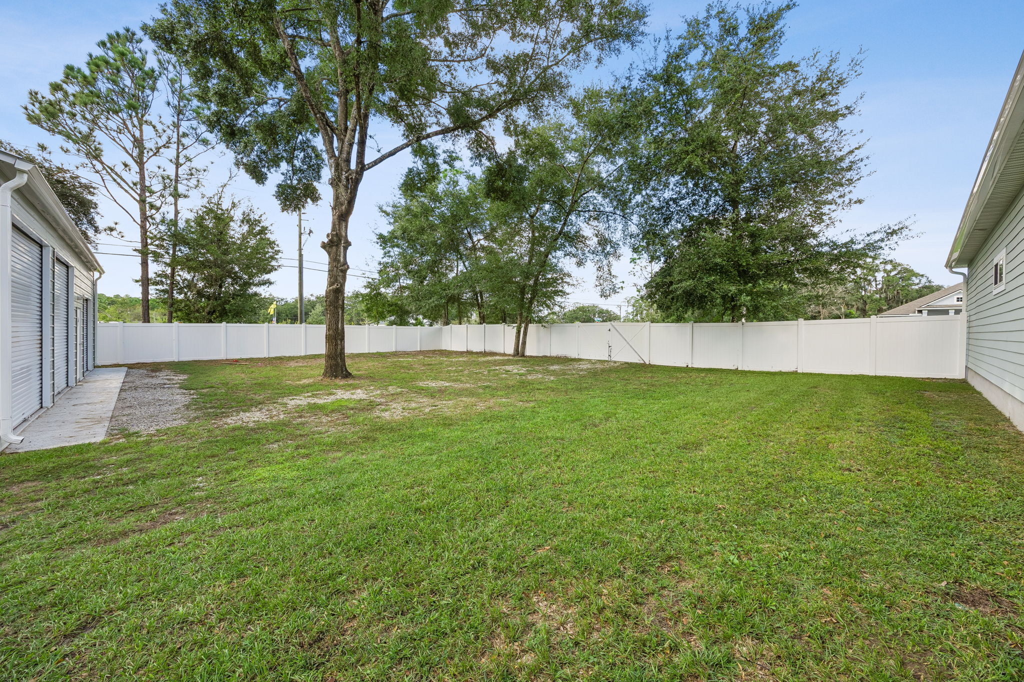 Backyard