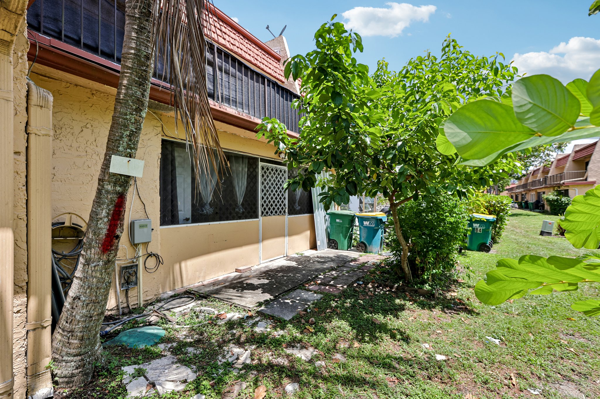 Ann Lee Ln-S1706-045.jpg