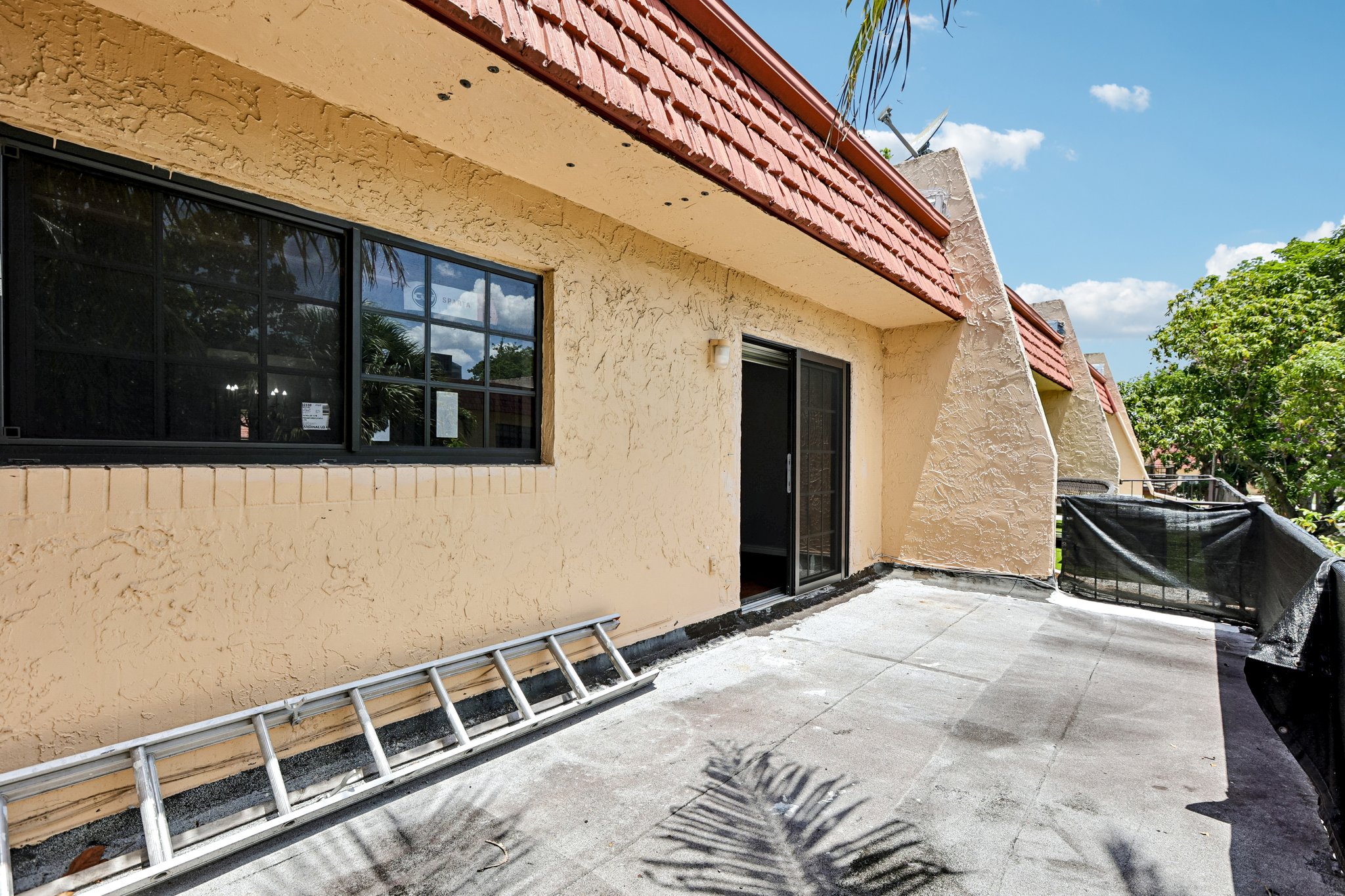Ann Lee Ln-S1706-050.jpg