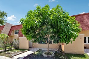 Ann Lee Ln-S1706-004.jpg