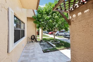 Ann Lee Ln-S1706-007.jpg
