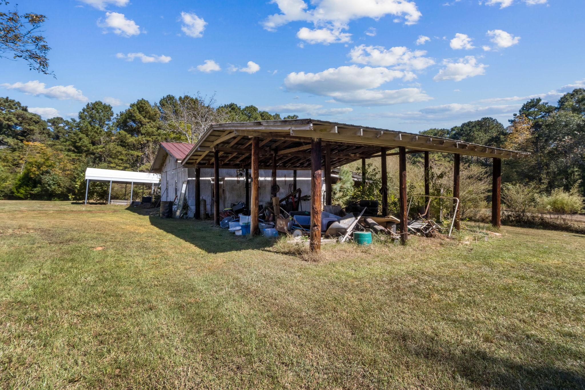 Shed