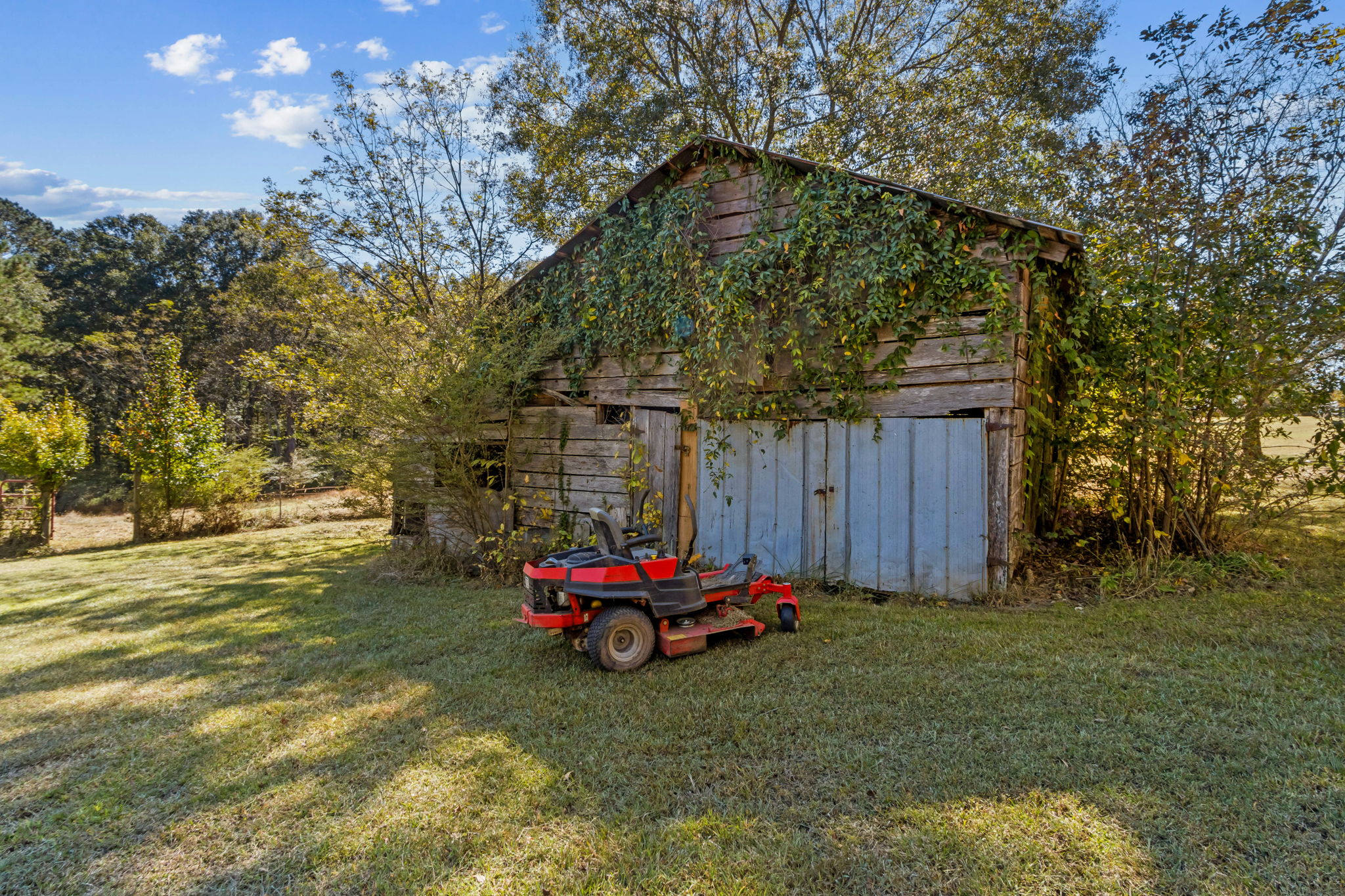 Shed