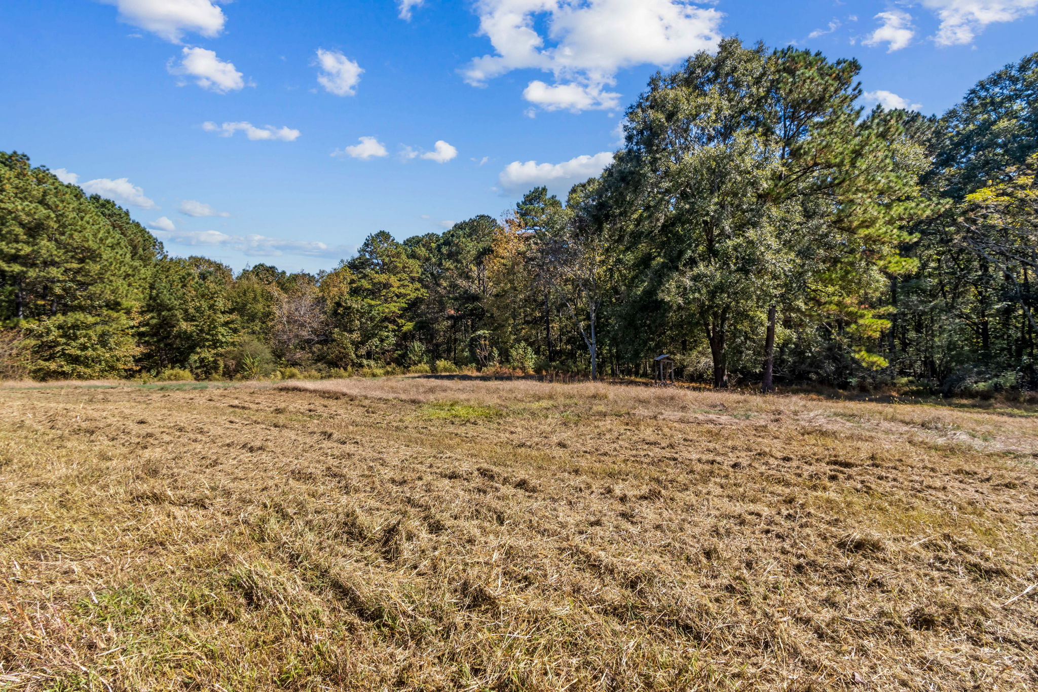 Surrounding Acreage