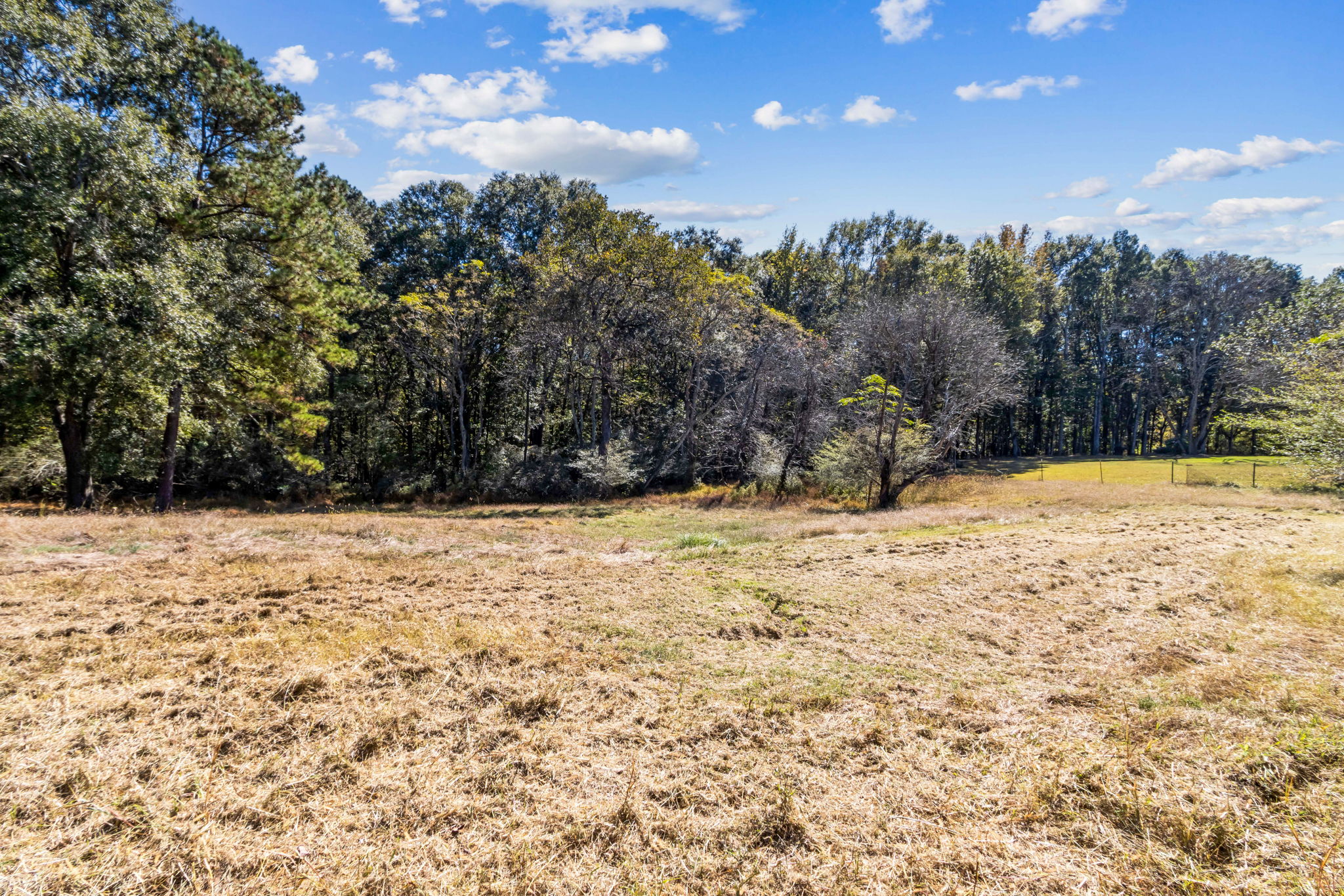 Surrounding Acreage