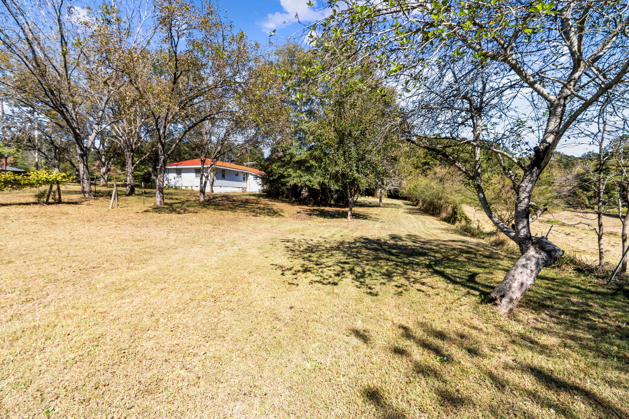 Surrounding Acreage
