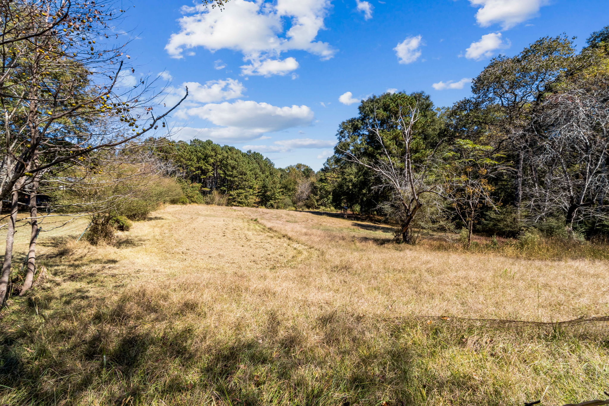 Surrounding Acreage