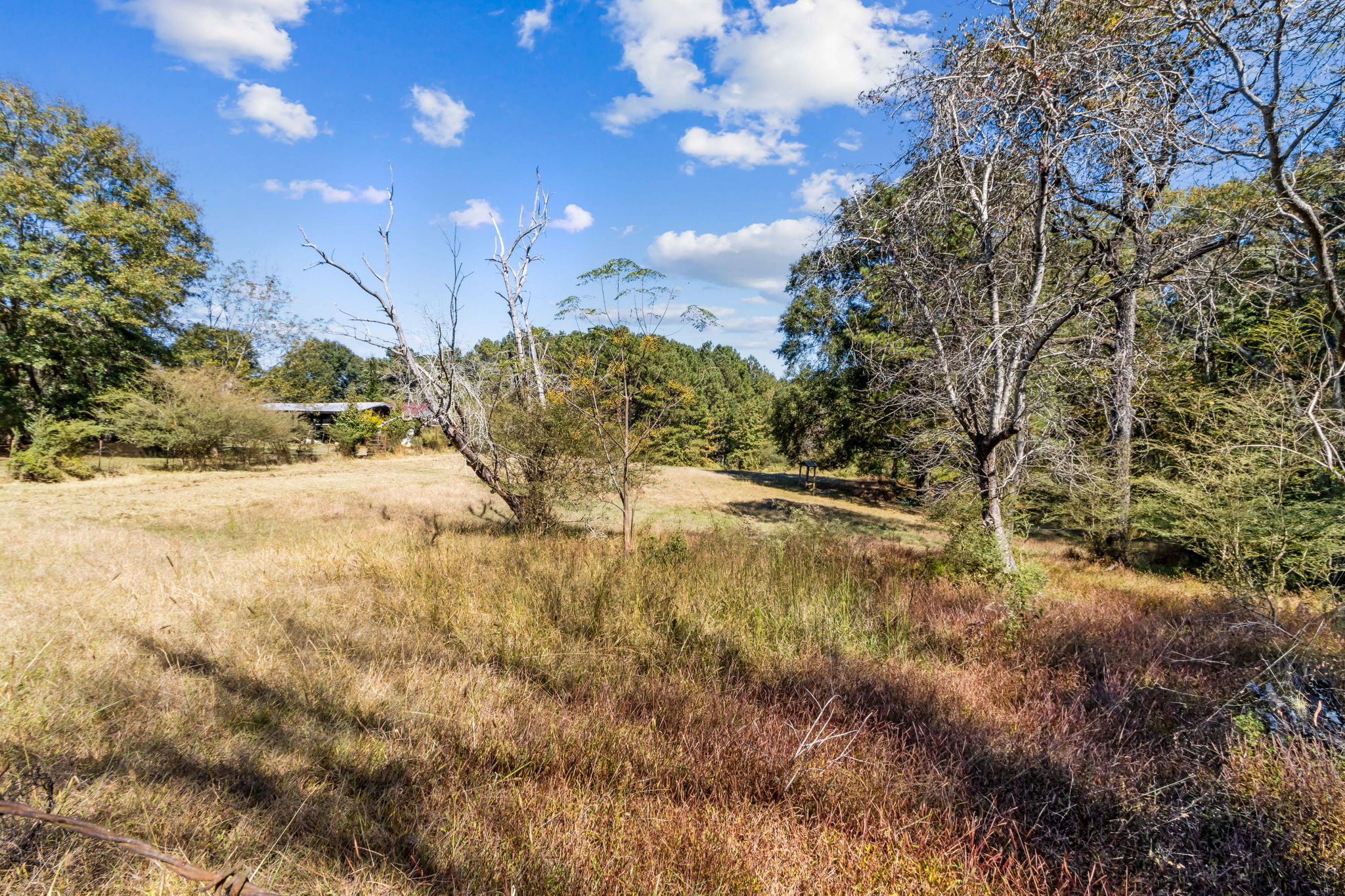 Surrounding Acreage