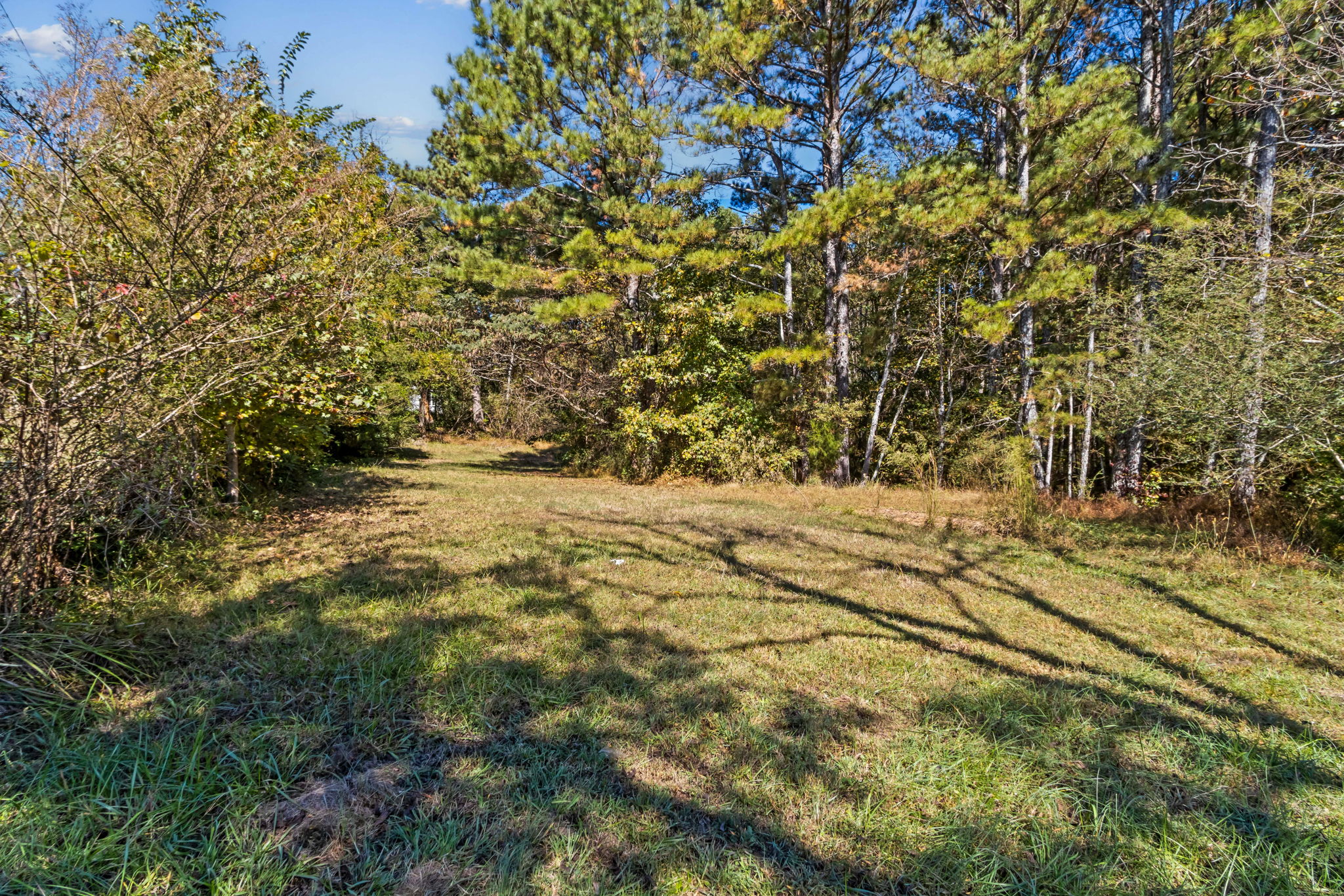 Surrounding Acreage