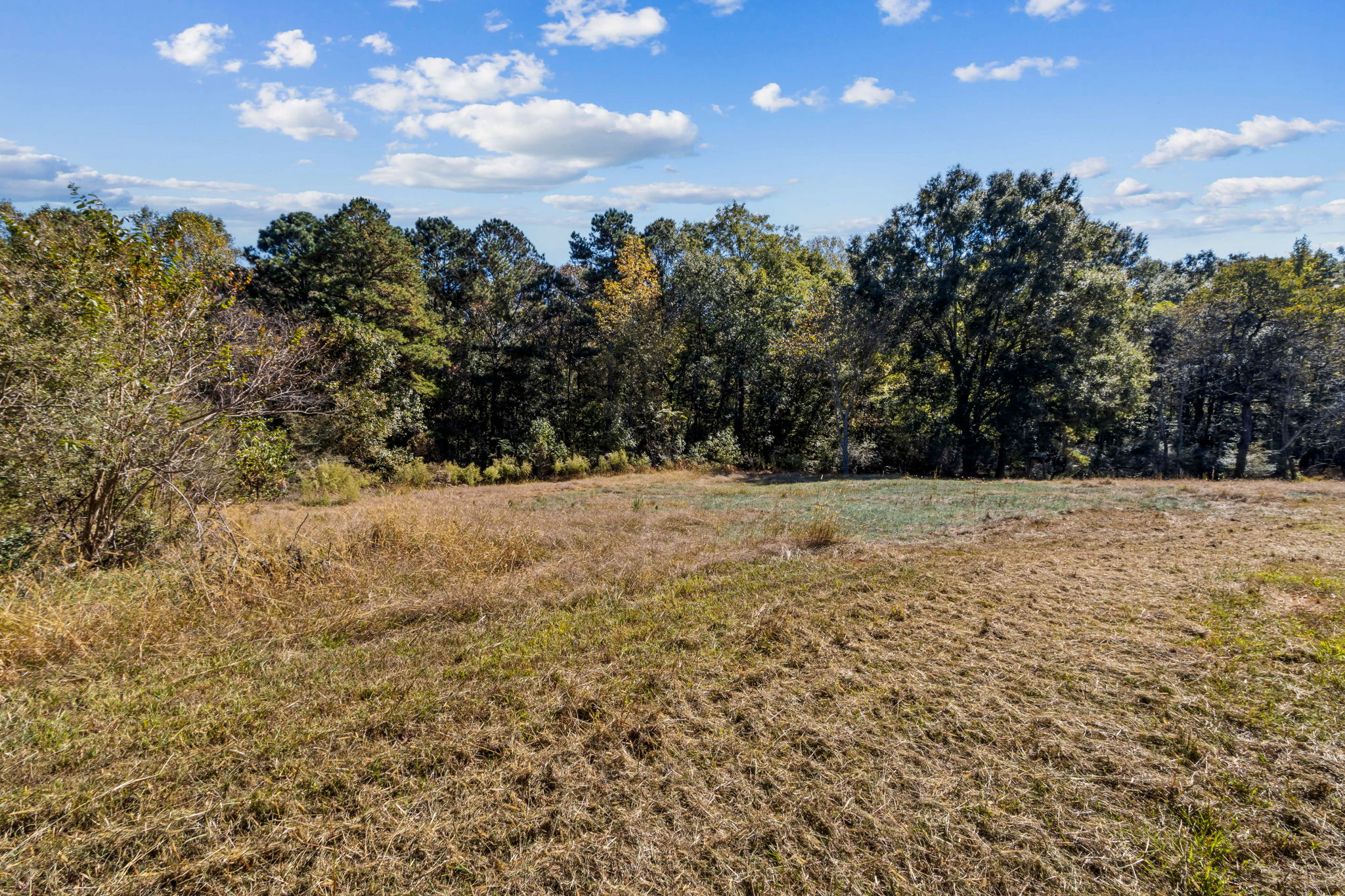 Surrounding Acreage