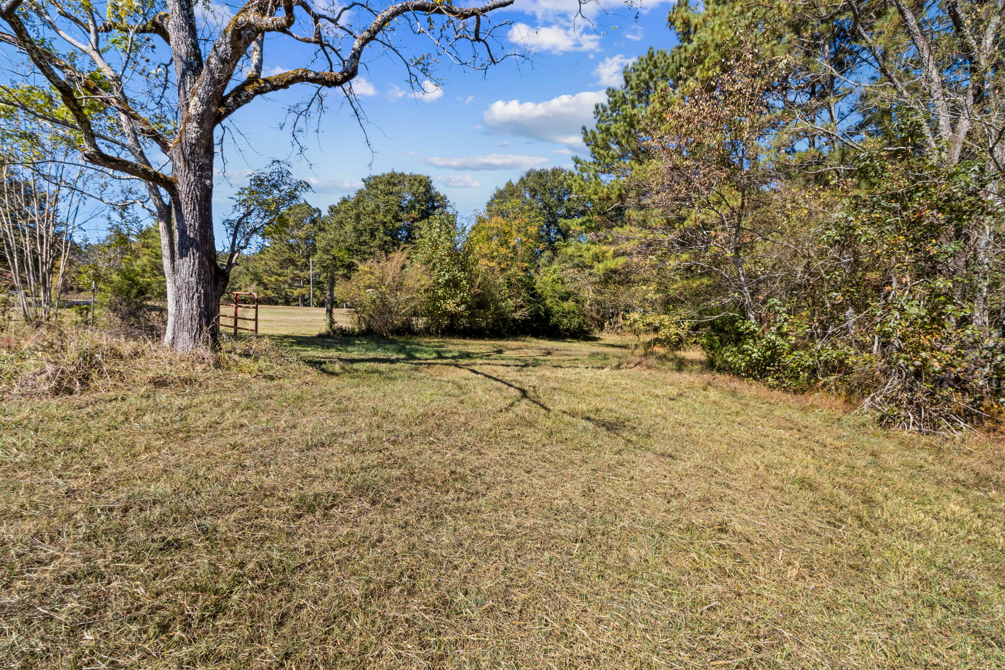 Surrounding Acreage