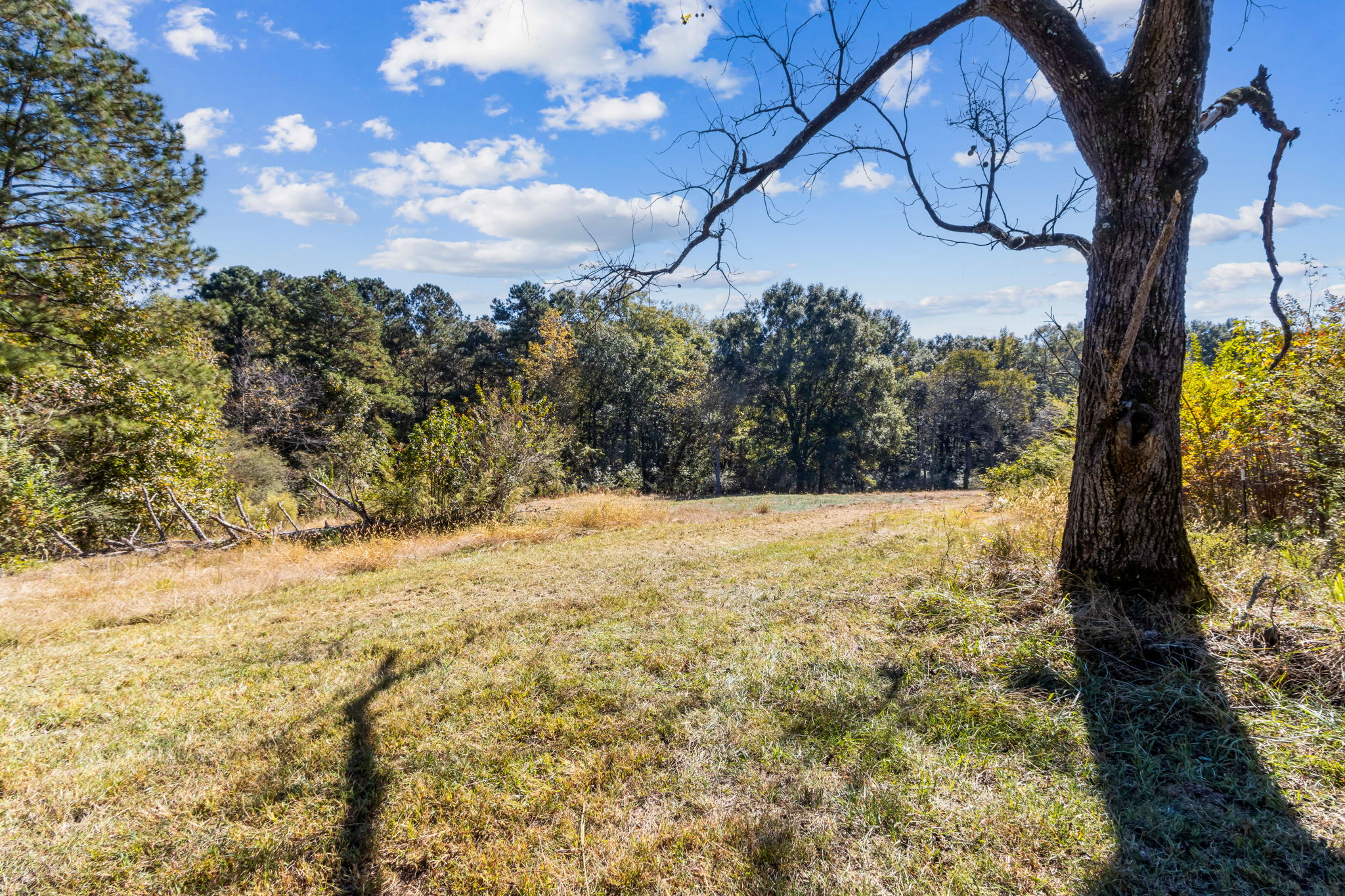 Surrounding Acreage