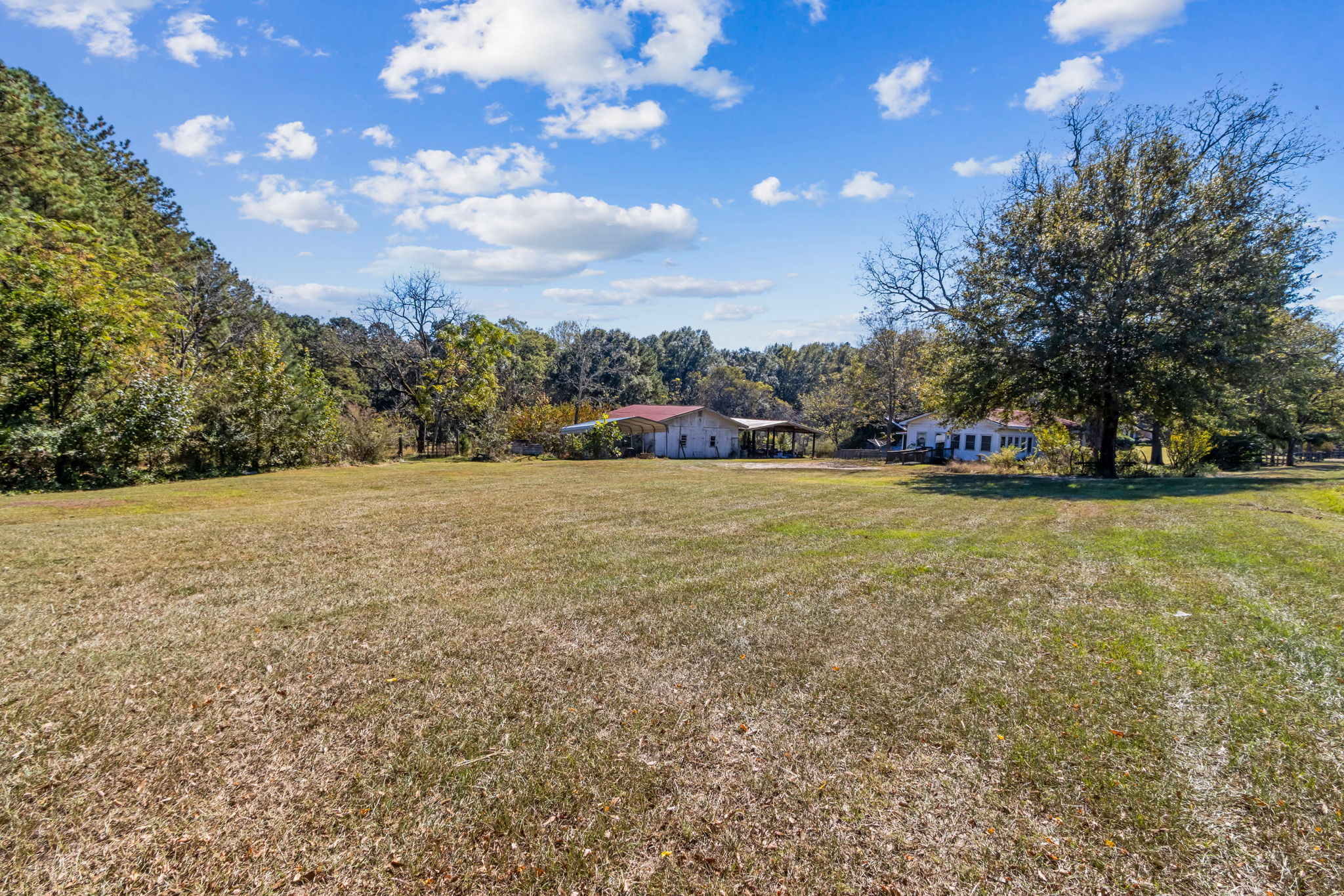 Surrounding Acreage