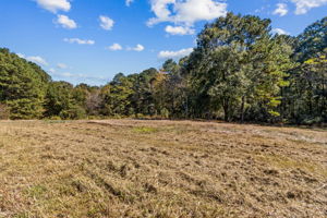 Surrounding Acreage