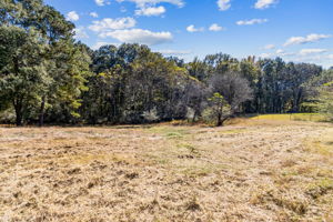 Surrounding Acreage