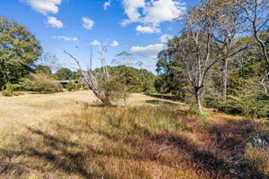Surrounding Acreage
