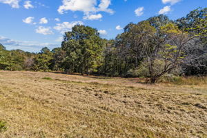 Surrounding Acreage