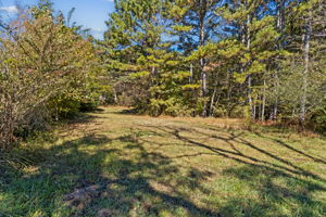 Surrounding Acreage