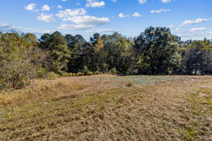 Surrounding Acreage