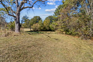 Surrounding Acreage