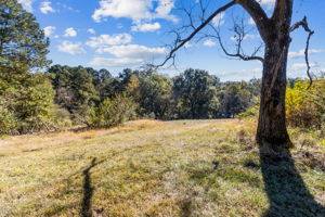 Surrounding Acreage