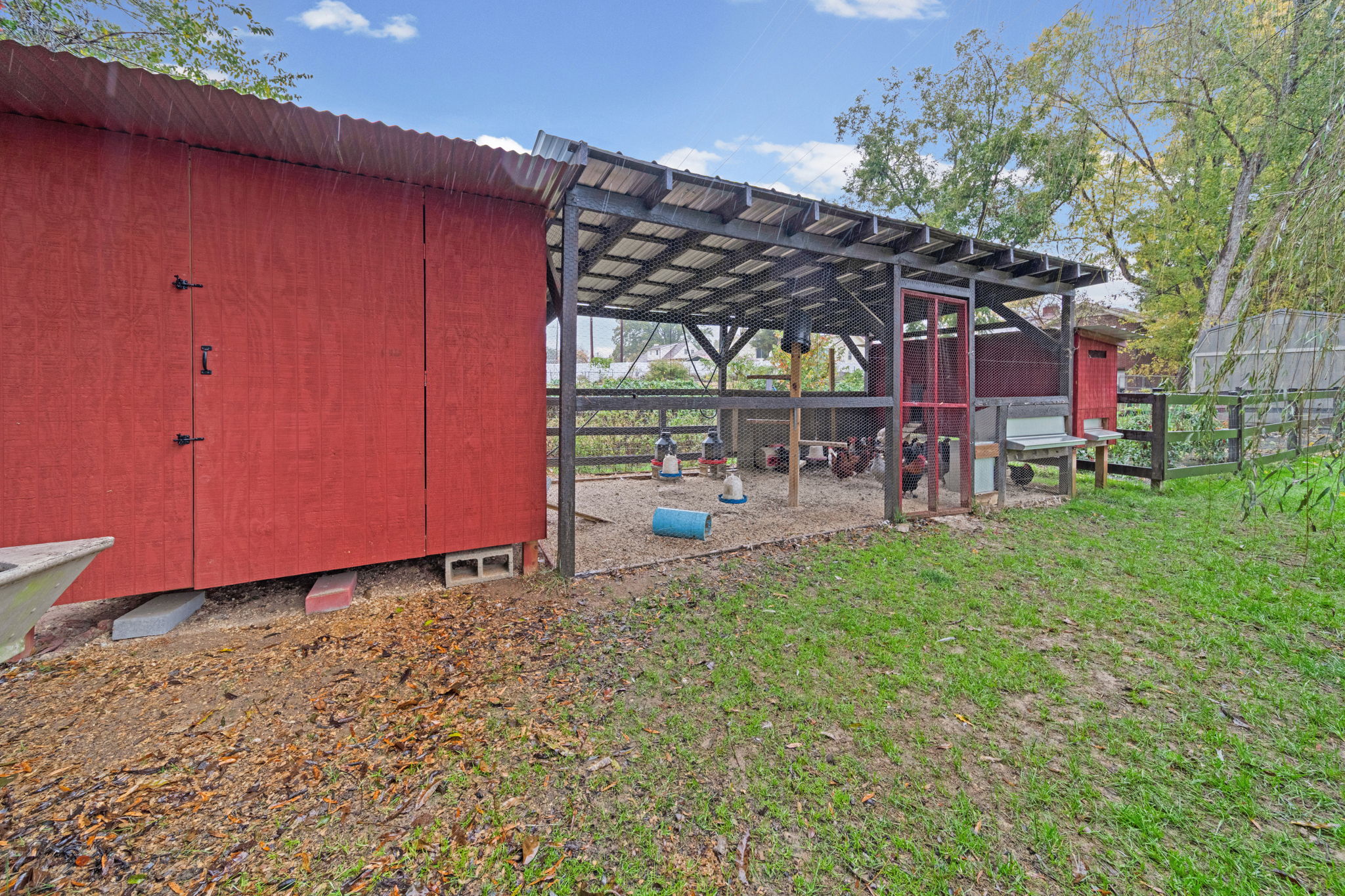 Chicken Coop & Storage Shed