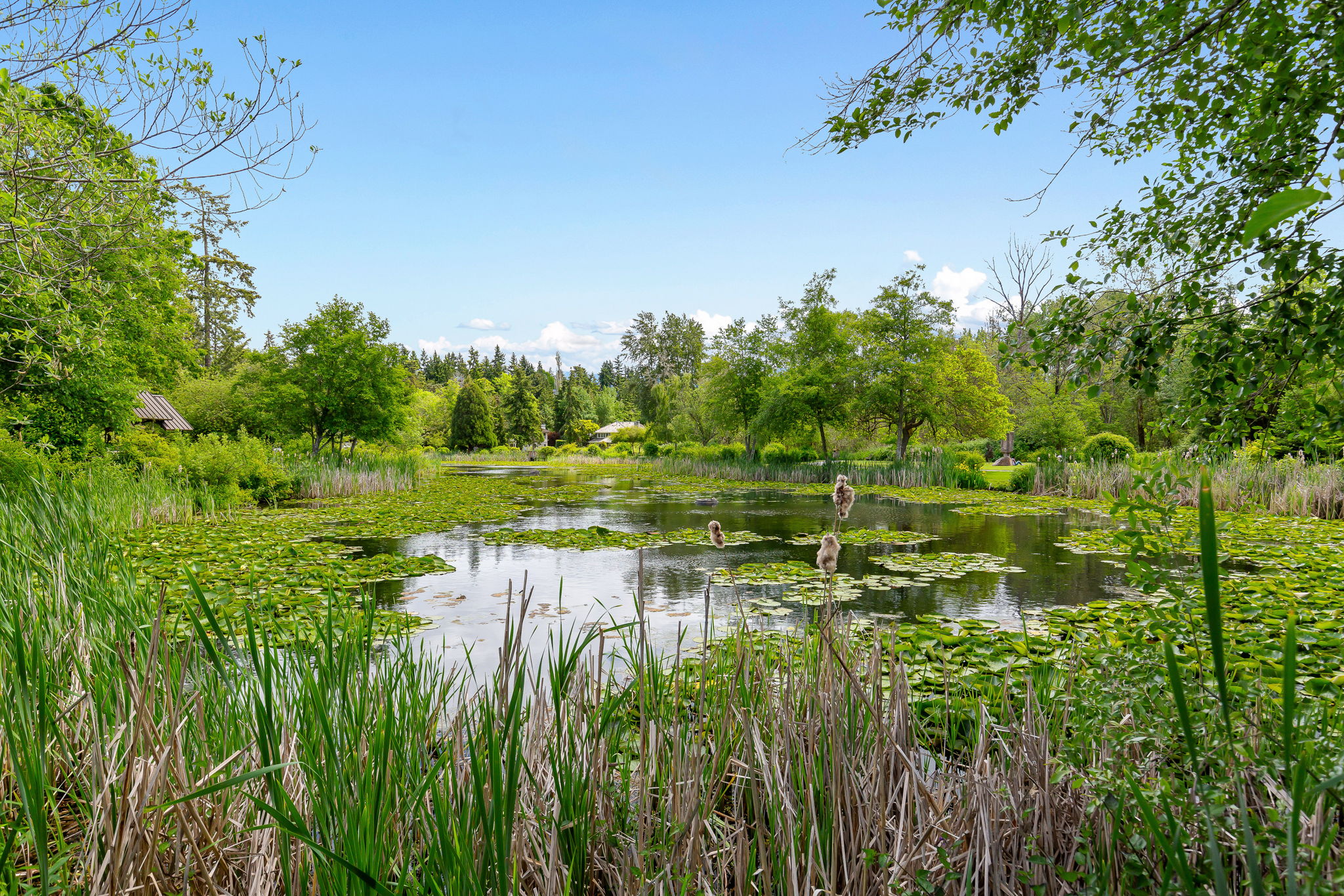 Medina Park