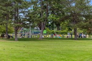 Medina Park