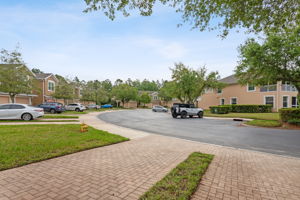 Driveway View