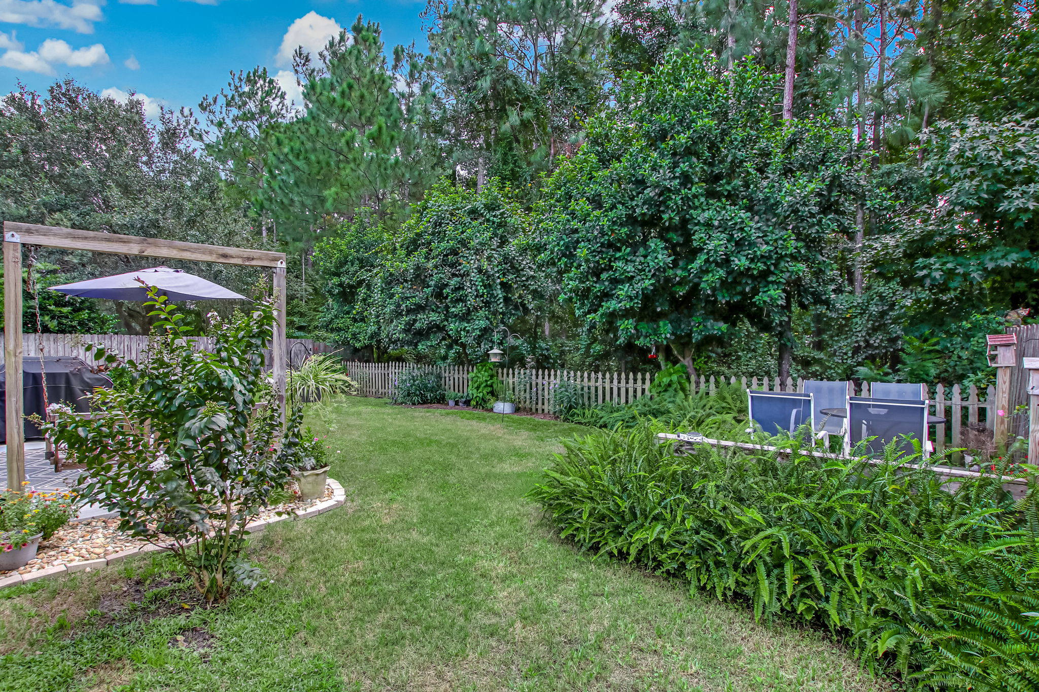 Back Yard