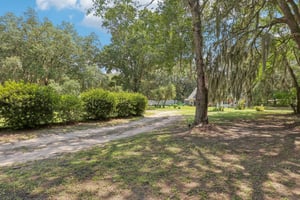 Hill Valley Ave-006.jpg