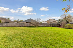 Backyard