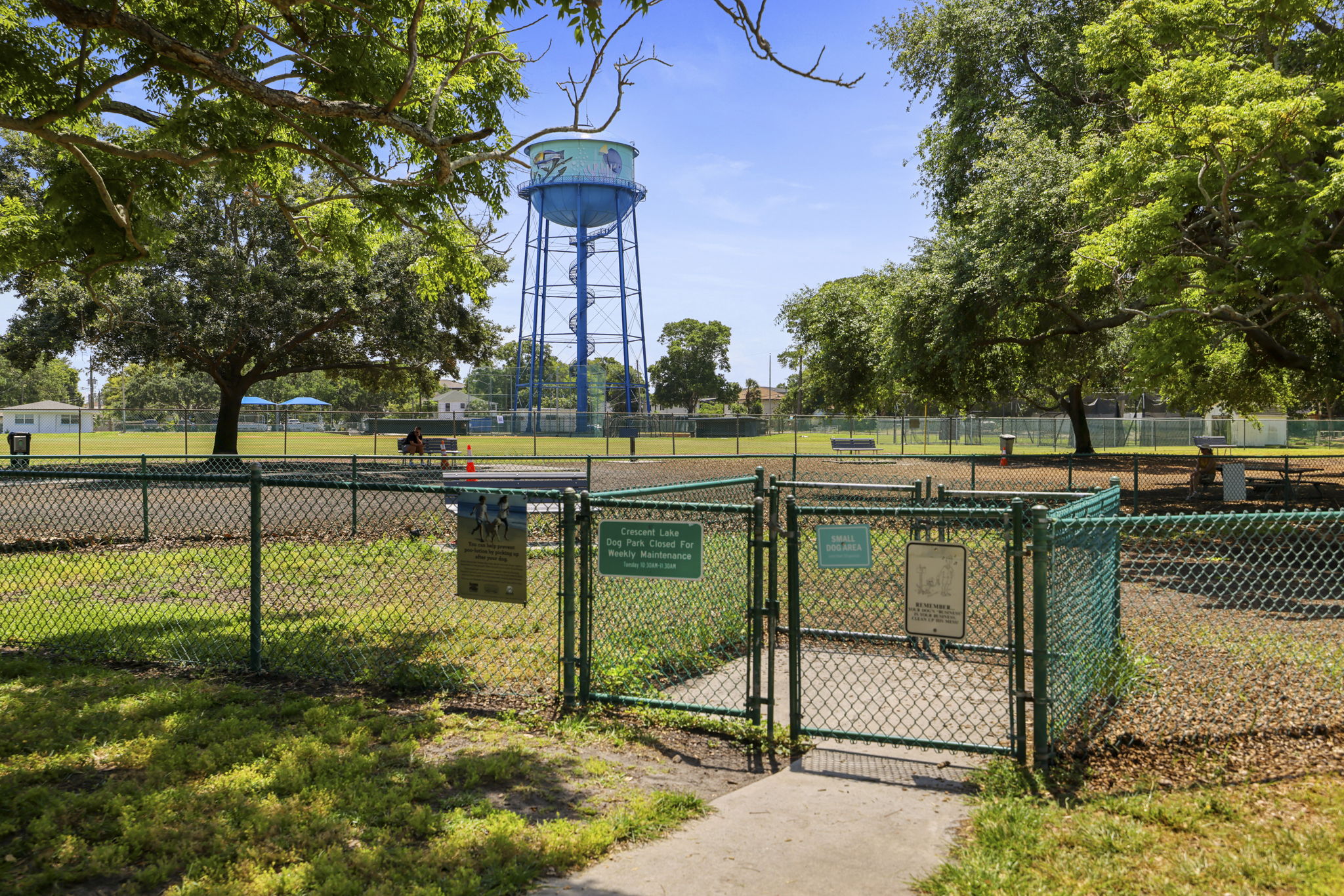 Community Dog Park - 495A9996 (1)