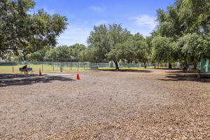 Community Dog Park - 495A0001 (1)