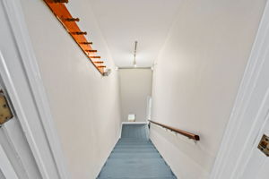  Photo 51