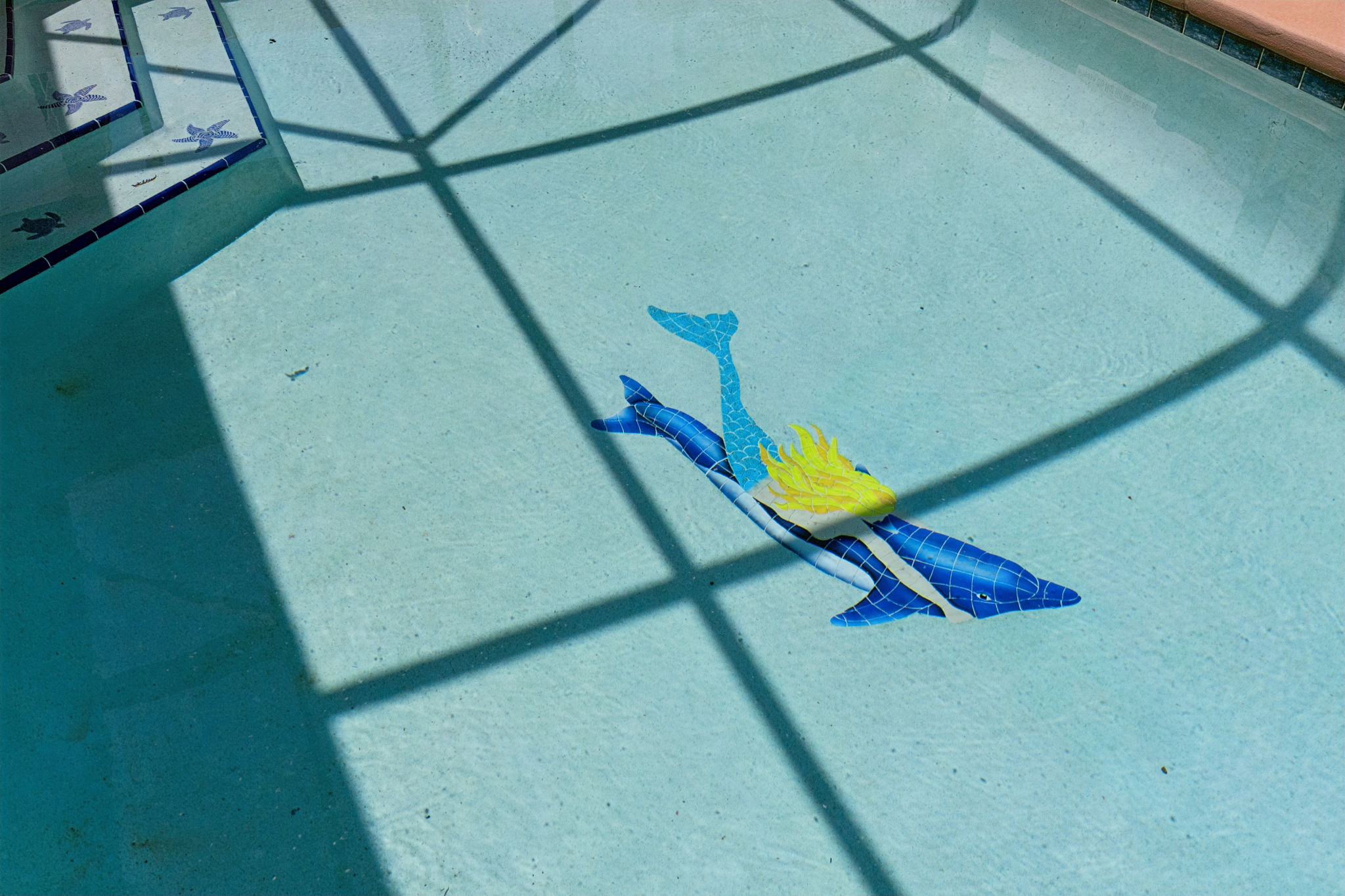  Photo 45