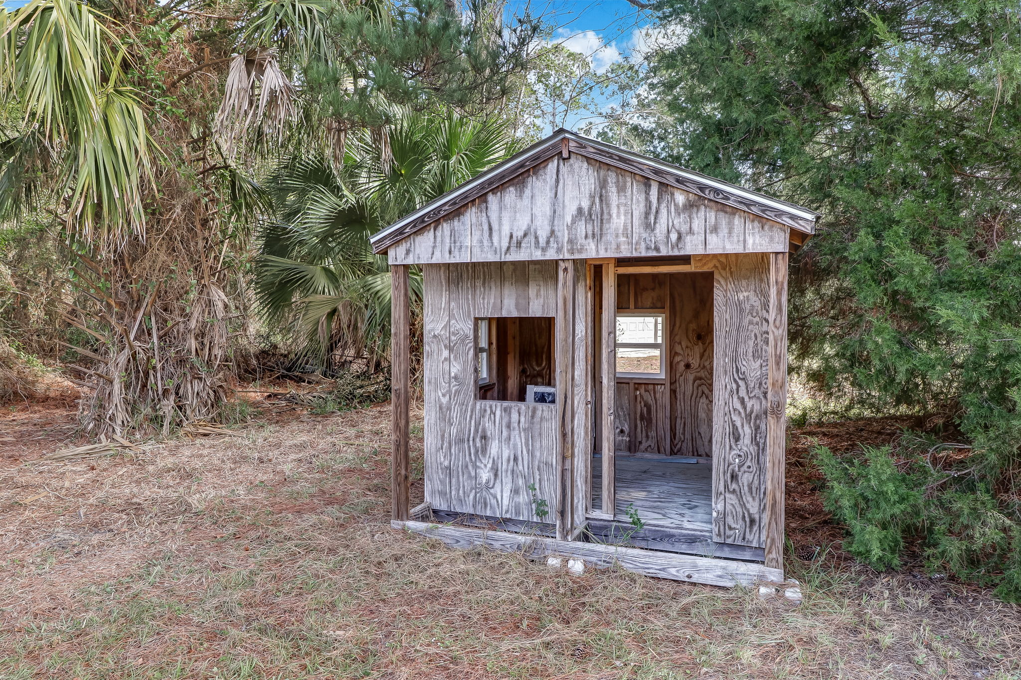 Shed
