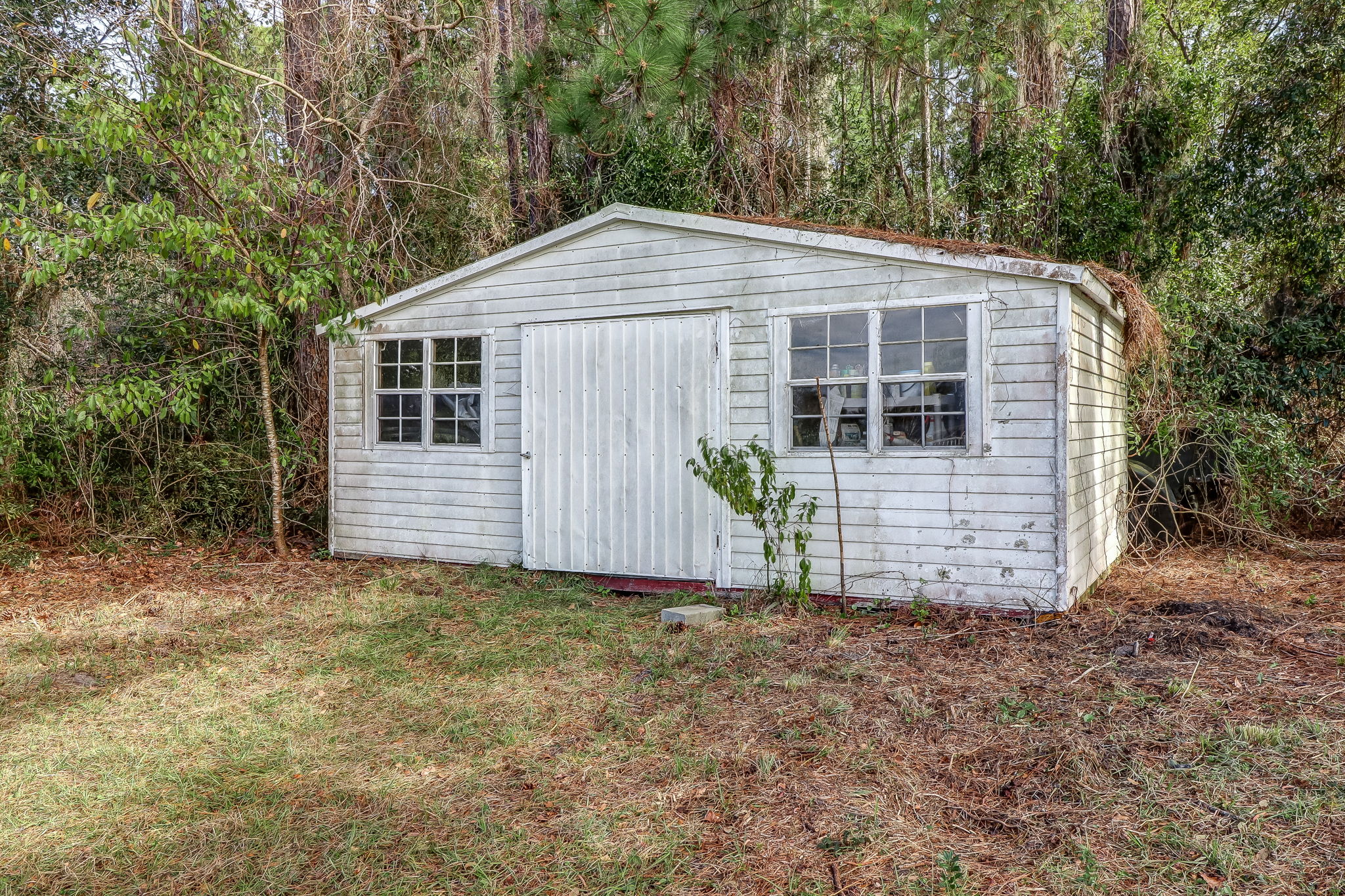 Shed