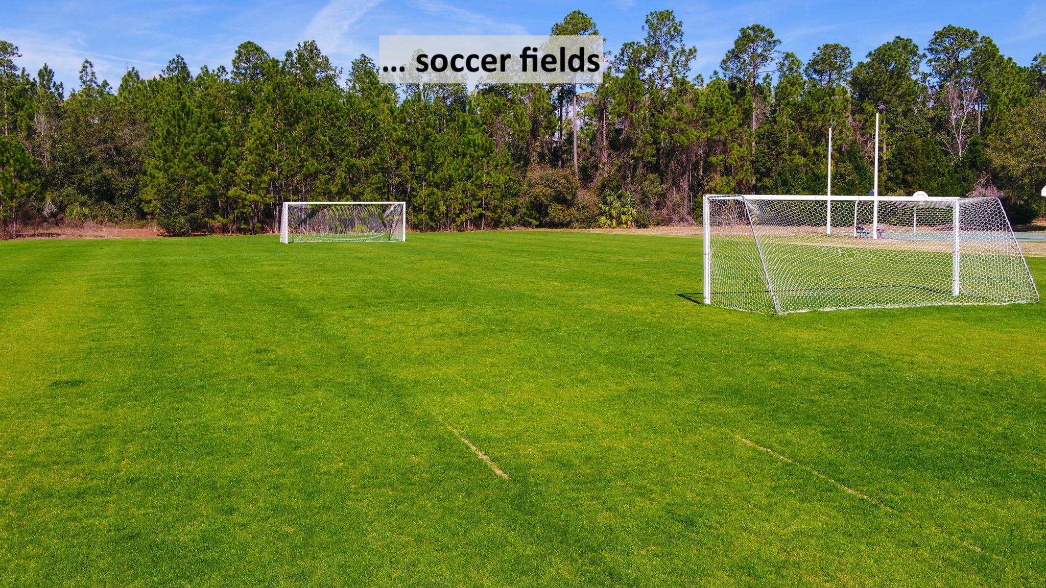 ... as well as an abundance of athletic fields and courts, including a soccer field