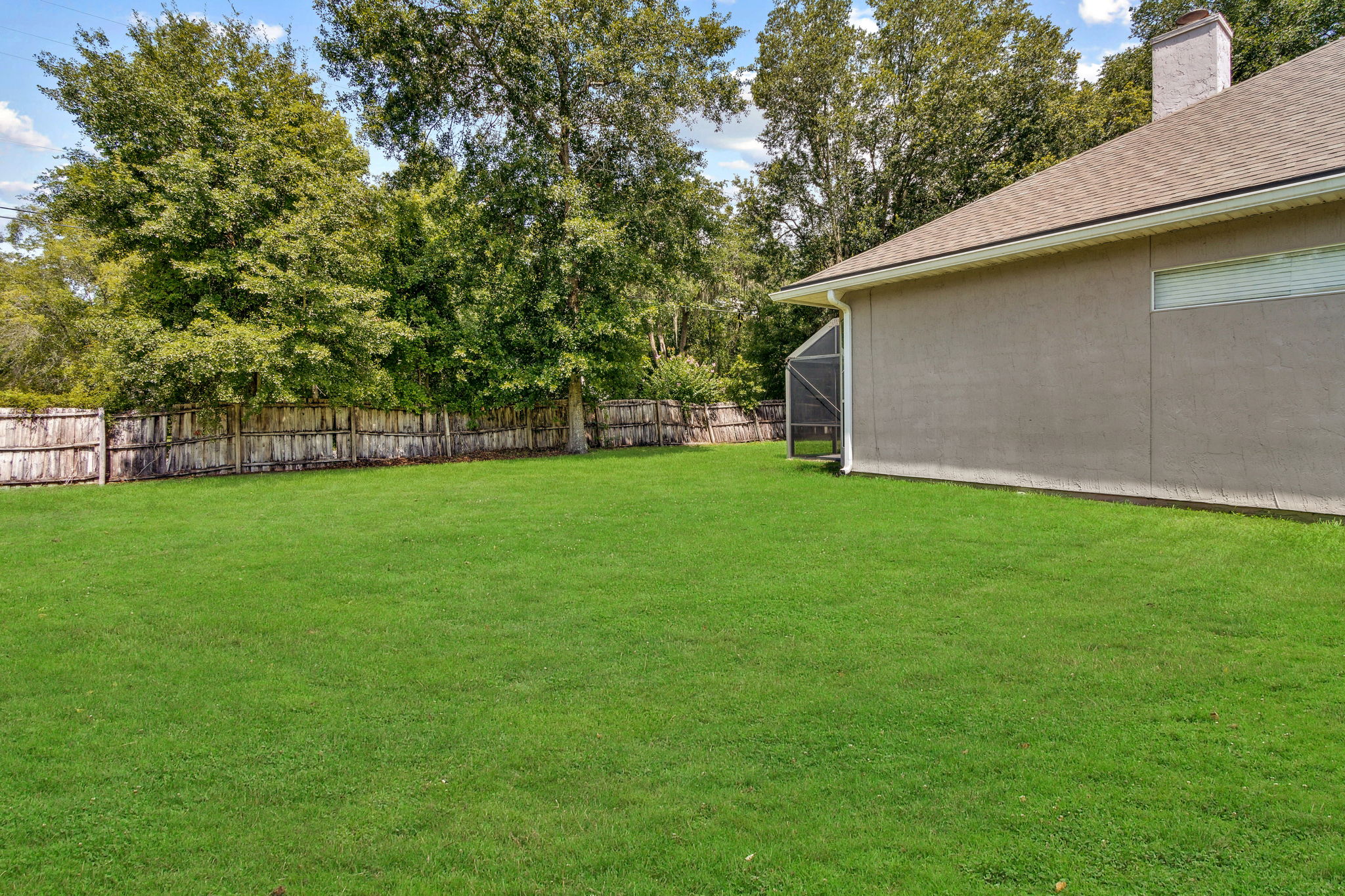 Pictured here, the side yard, framed by native trees.