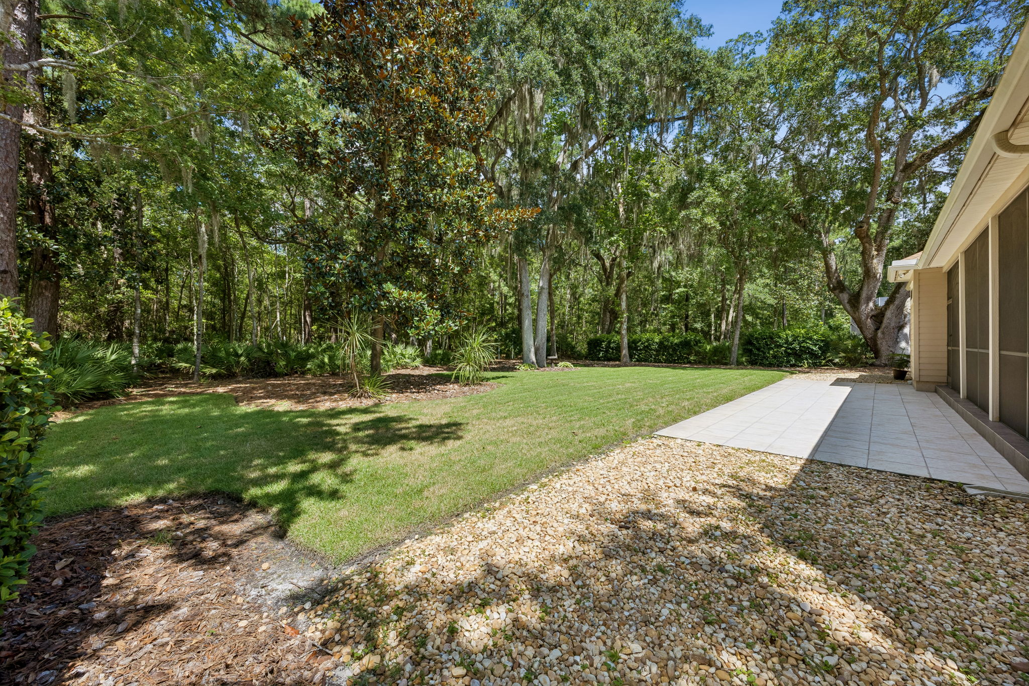 Backyard