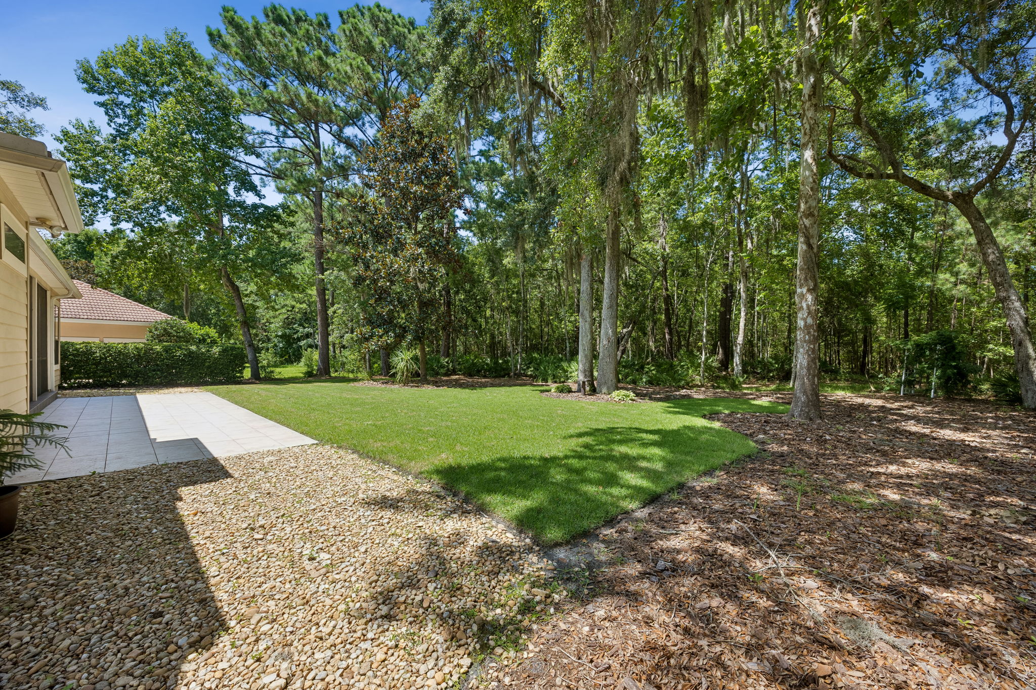Backyard