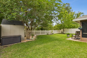 Backyard