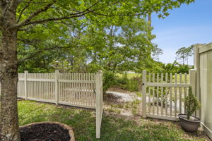Backyard to Preserve