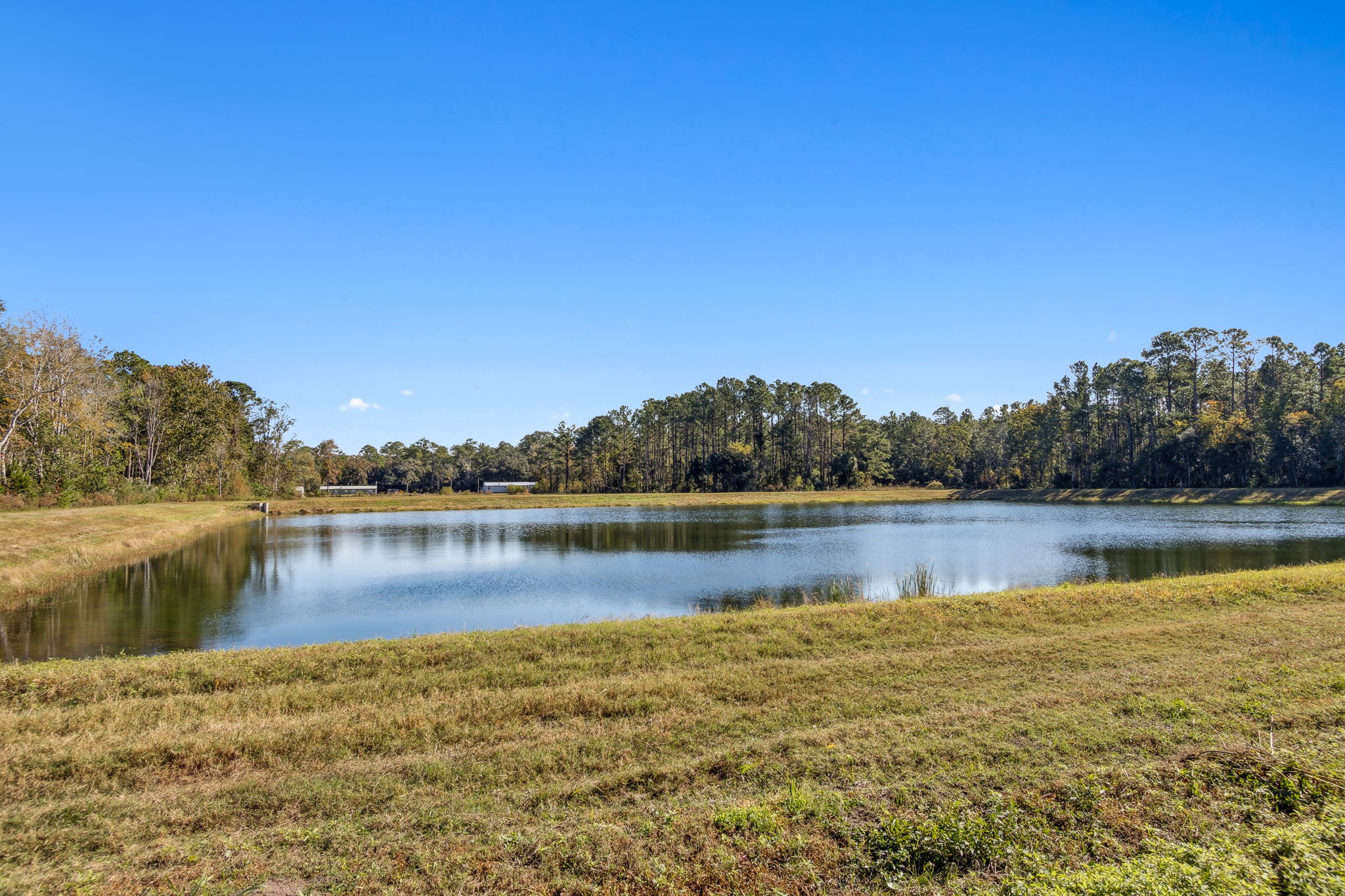 Pond View