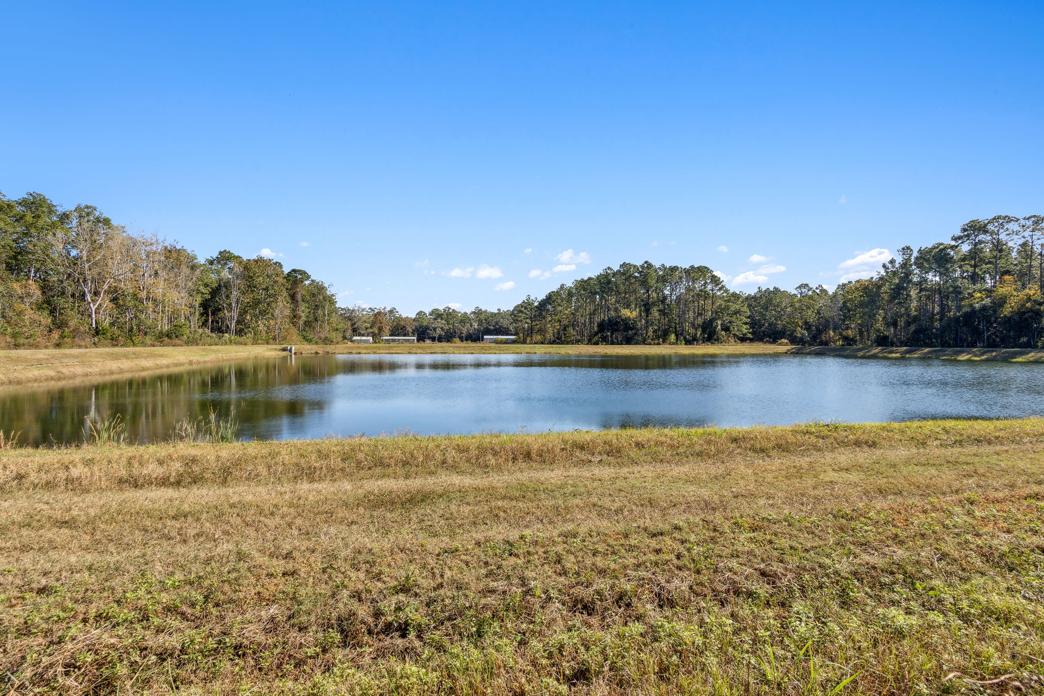 Pond View