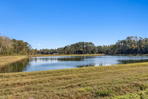 Pond View